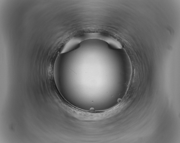 X0000112470048200908241242