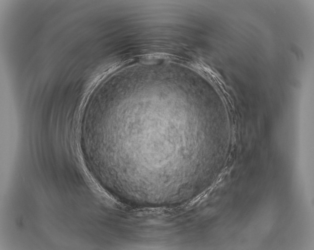 X0000112470049200908241241