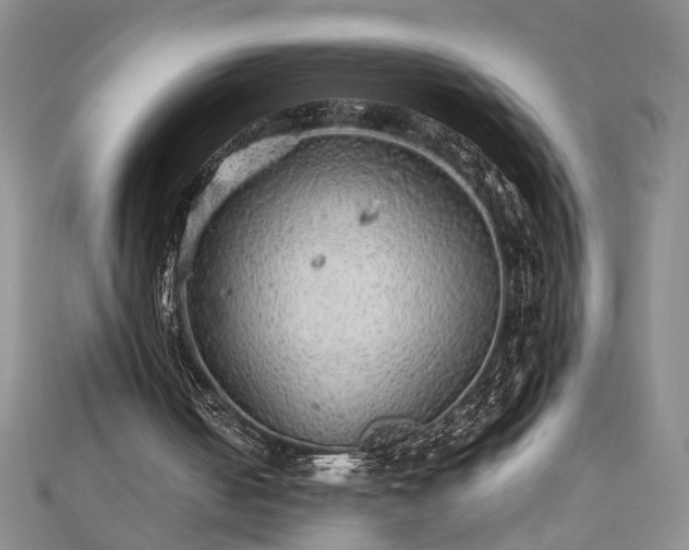 X0000112470050200908241241