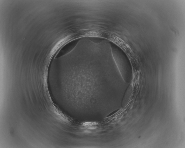 X0000112470051200908241241