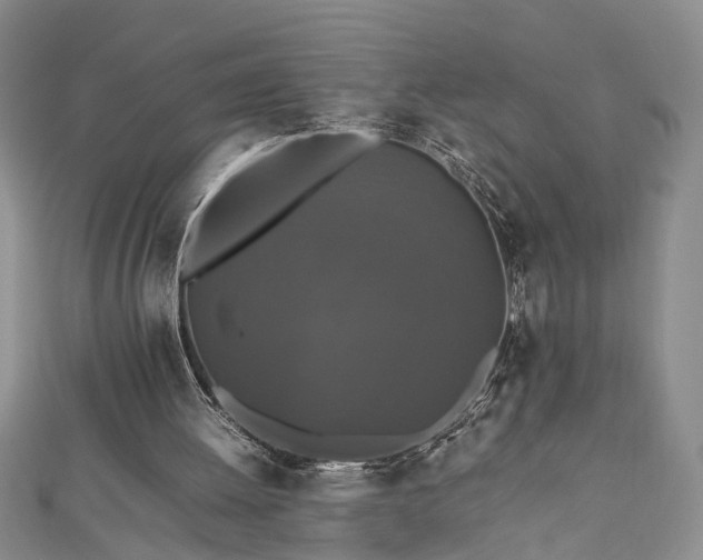 X0000112470052200908241241