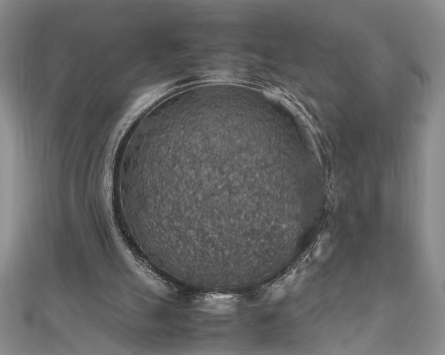 X0000112470055200908241241