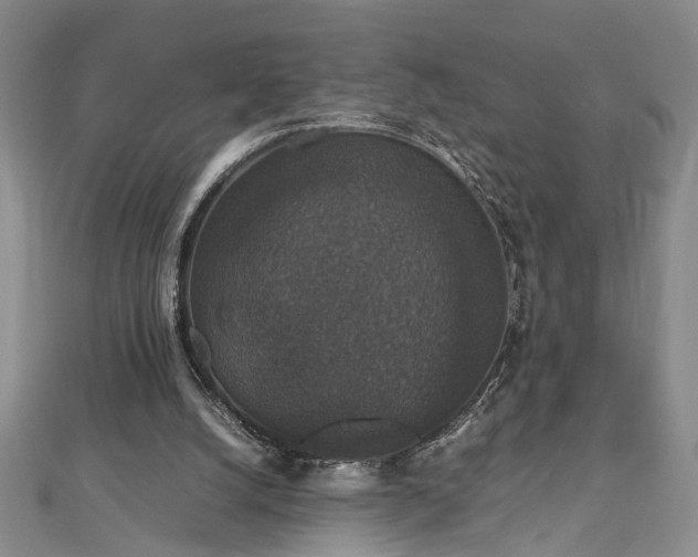 X0000112470056200908241241