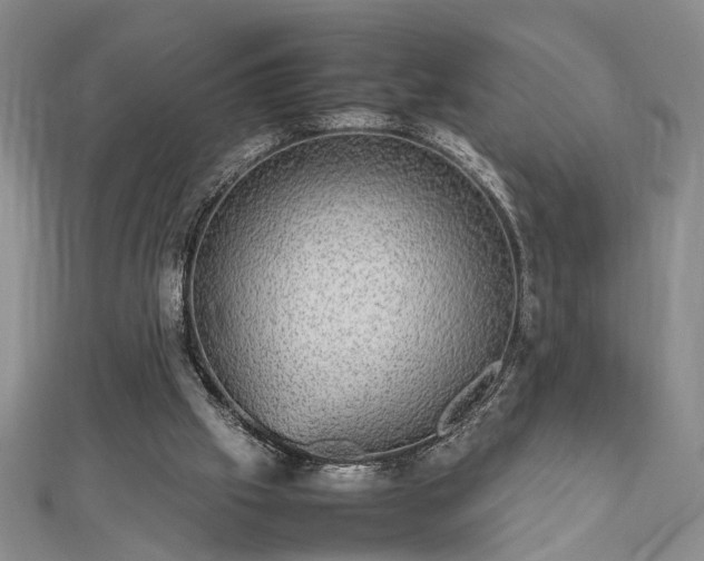 X0000112470057200908241241