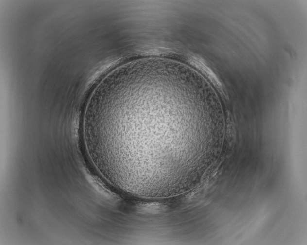 X0000112470058200908241241