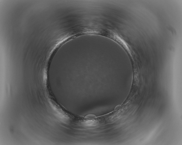 X0000112470059200908241241