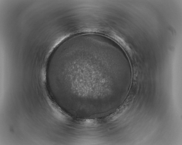 X0000112470060200908241241