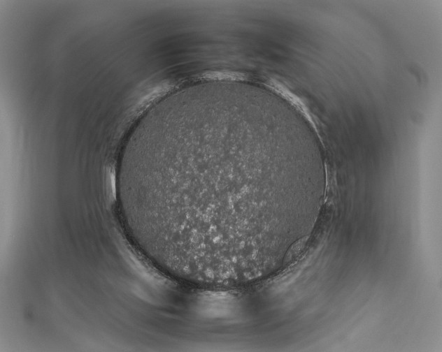 X0000112470061200908241241