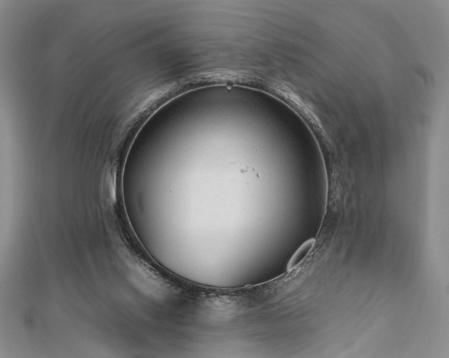 X0000112470062200908241241