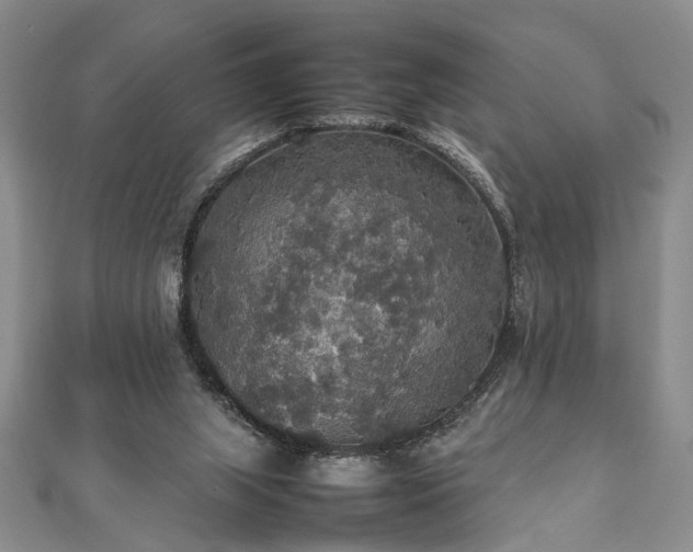 X0000112470063200908241241