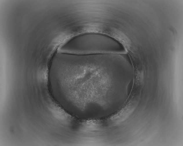 X0000112470064200908241241