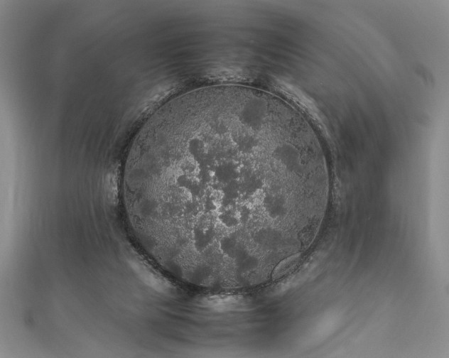 X0000112470065200908241241