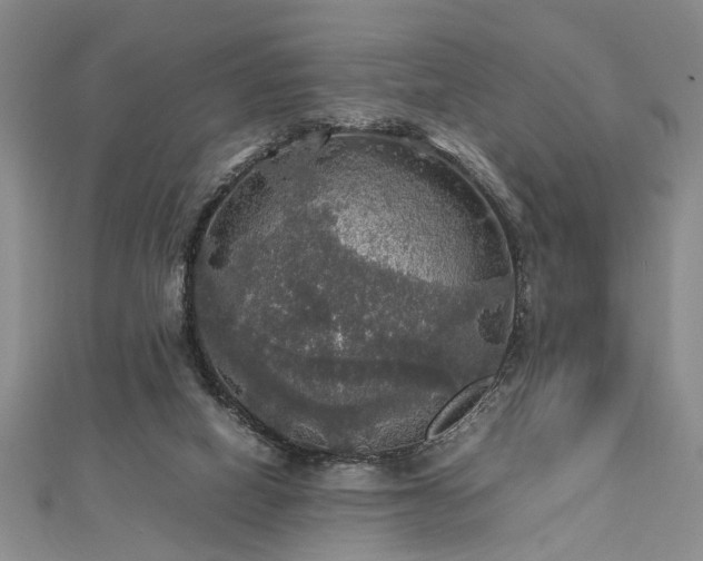 X0000112470066200908241241