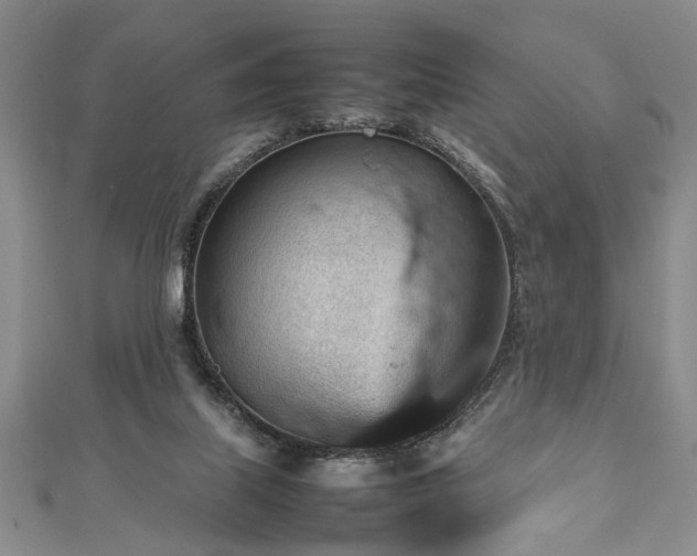 X0000112470067200908241241