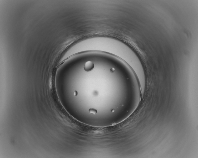 X0000112470068200908241241