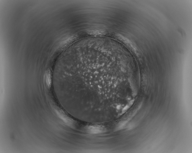 X0000112470069200908241242