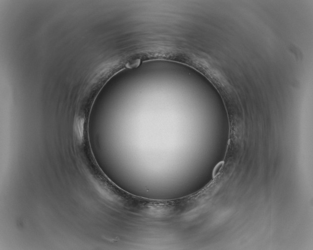 X0000112470070200908241242