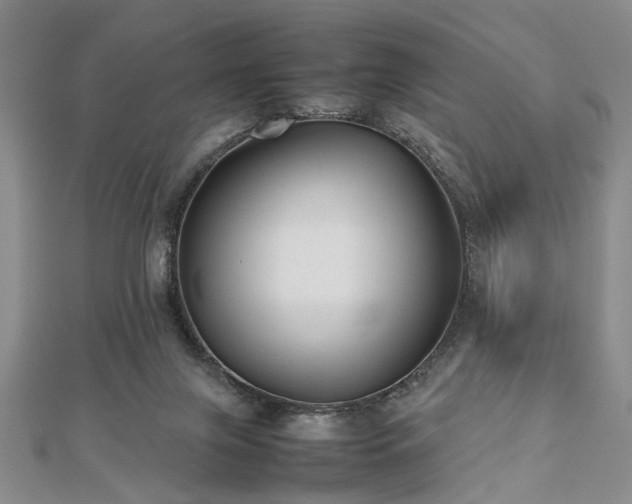 X0000112470071200908241242