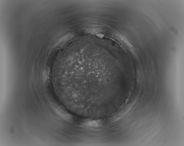 X0000112470073200908241242