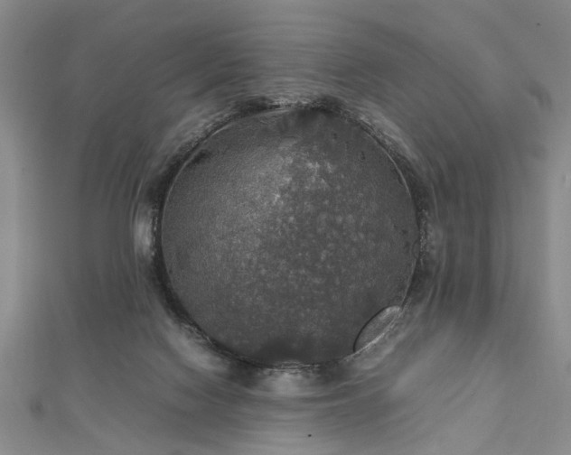 X0000112470074200908241242