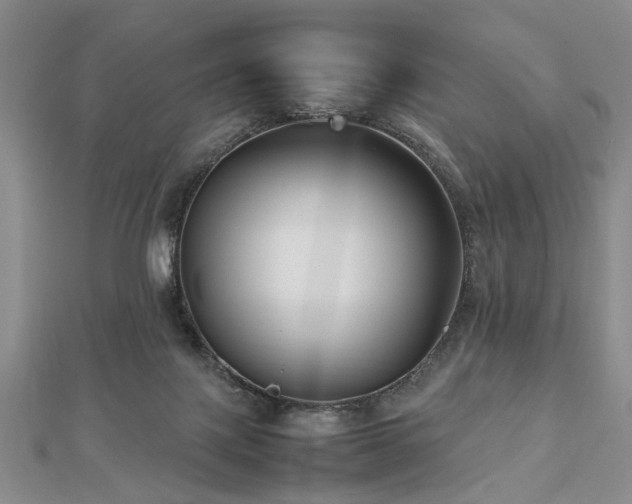 X0000112470075200908241242