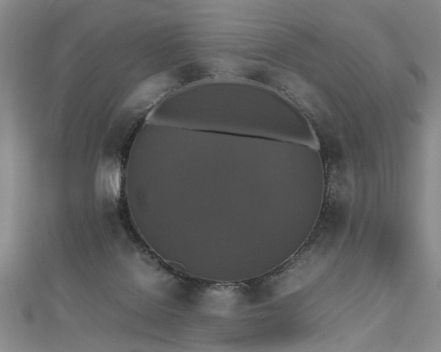 X0000112470076200908241242