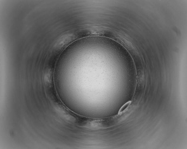 X0000112470078200908241242