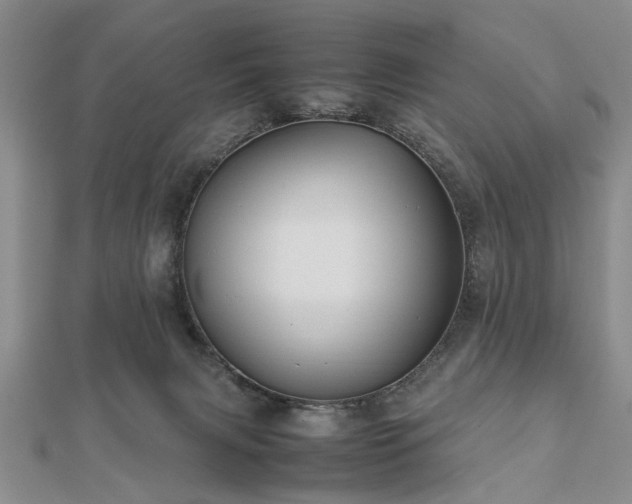 X0000112470079200908241242