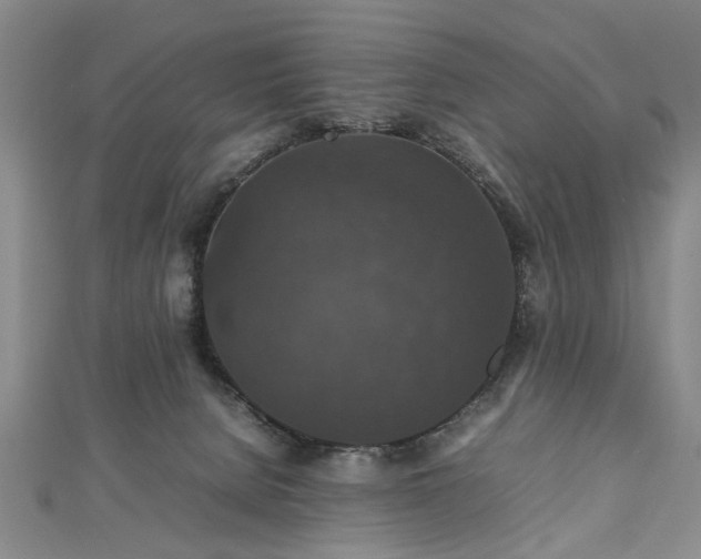 X0000112470080200908241242