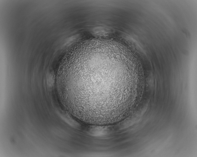 X0000112470081200908241242