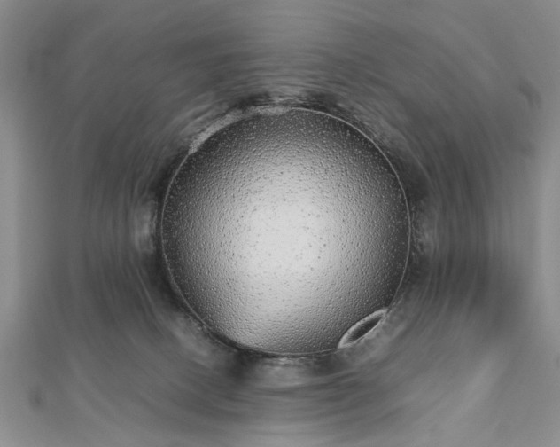 X0000112470082200908241242