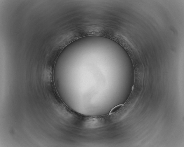 X0000112470083200908241242