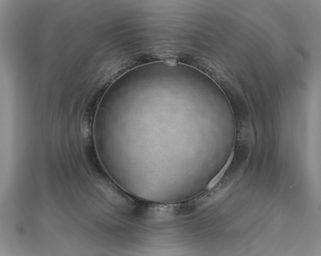 X0000112470084200908241242