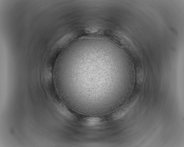 X0000112470085200908241242