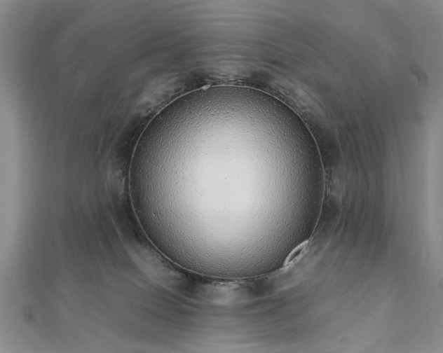 X0000112470086200908241242