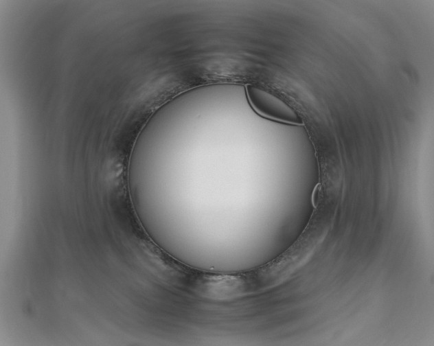 X0000112470087200908241242