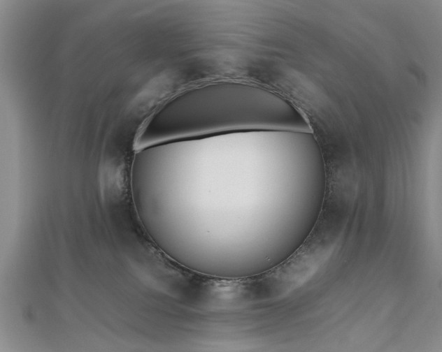 X0000112470088200908241242