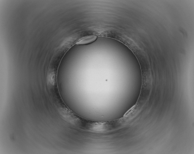 X0000112470090200908241242