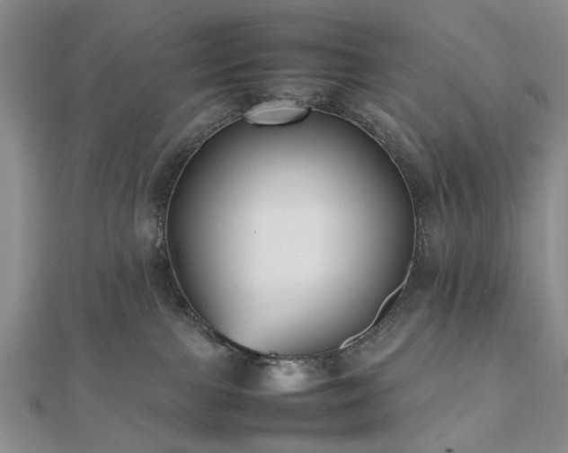 X0000112470091200908241242