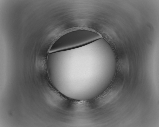 X0000112470092200908241242