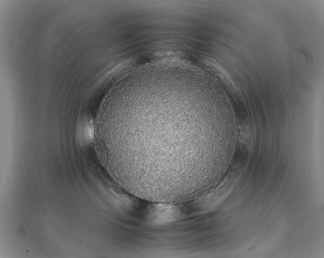 X0000112470095200908241242