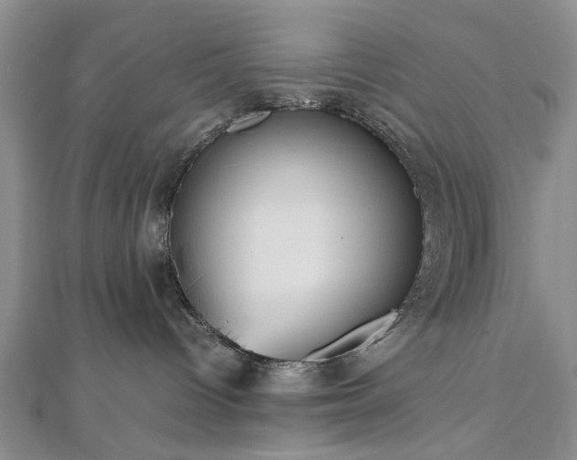 X0000112470096200908241242