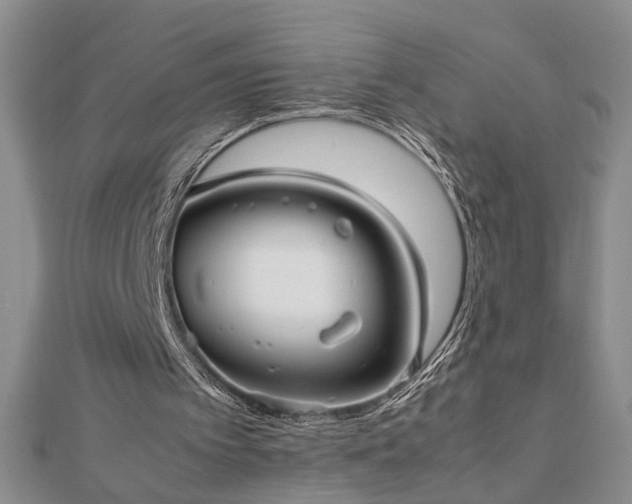 X0000112470097200908241241