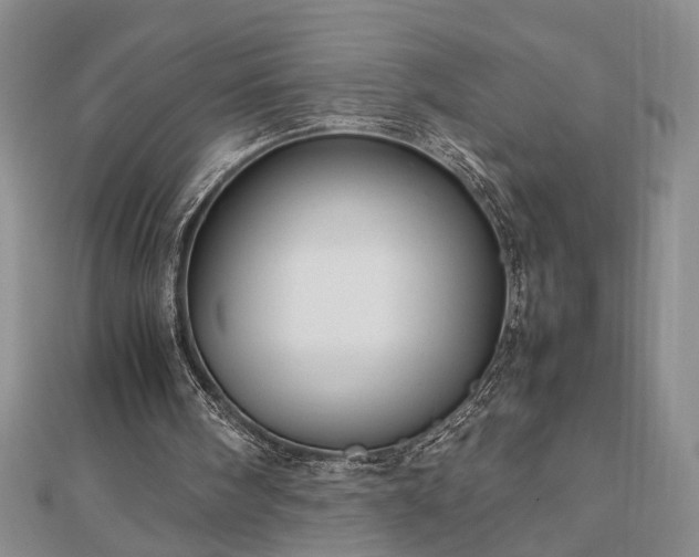 X0000112470098200908241241