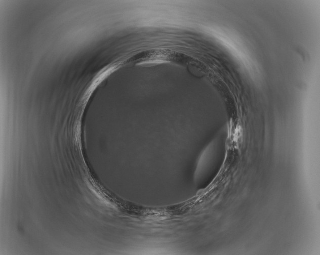 X0000112470099200908241241