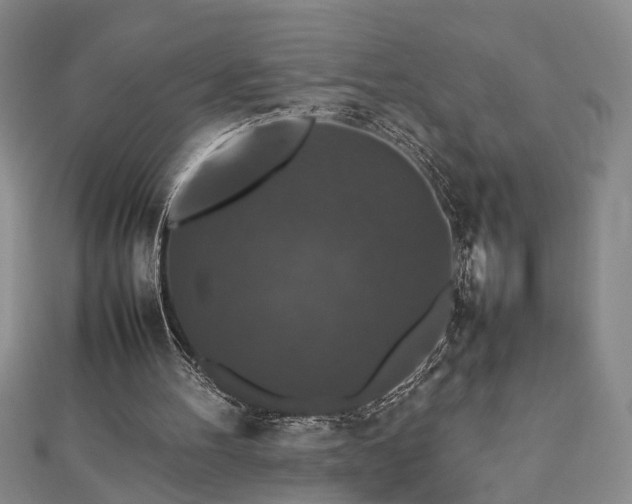 X0000112470100200908241241