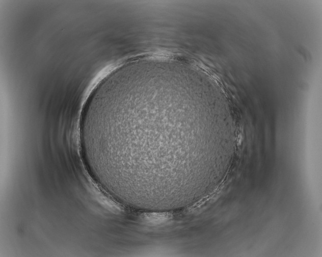 X0000112470102200908241241