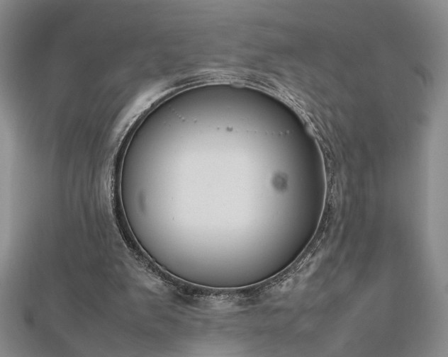 X0000112470103200908241241