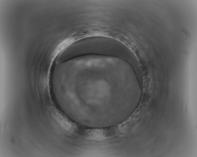 X0000112470104200908241241