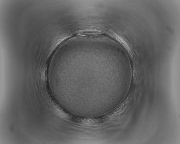 X0000112470105200908241241